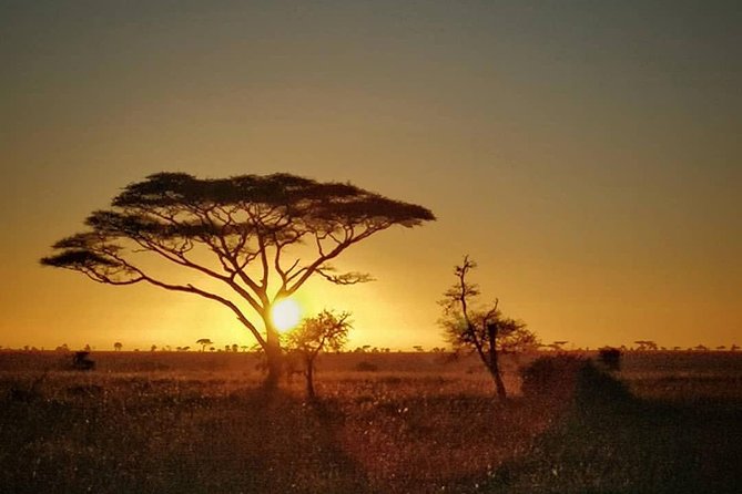 5 Days Ngorongoro Highlands Trekking - Trekking Itinerary