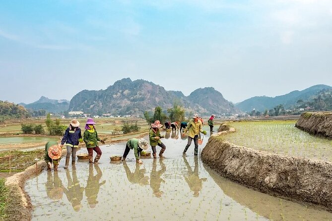 5 Days North Vietnam at a Glance:Hanoi, Halong Bay & Sapa - Sapa: Trekking Through Ethnic Villages