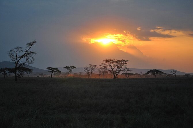 5 Days Northern Tanzania Safari- Lodging - Wildlife Encounters