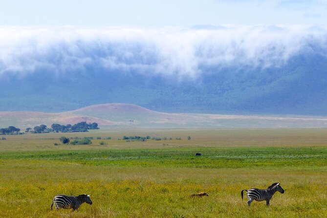 5 Days Northern Tanzania Safari- Lodging - Lodging Amenities