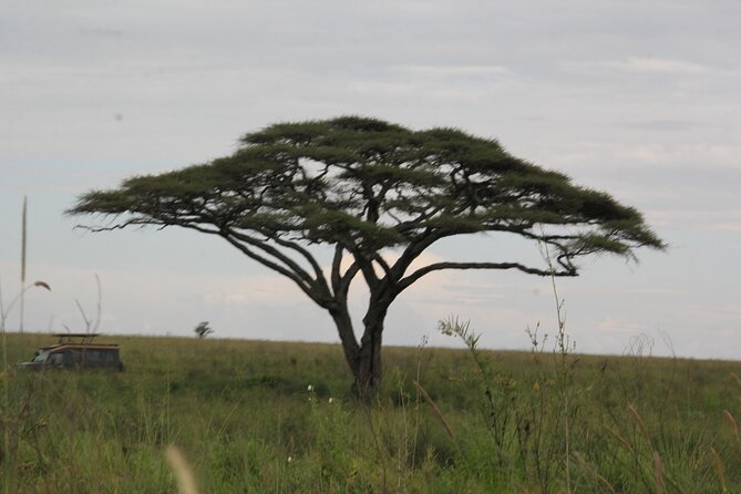 5 Days Nothern Tanzania Camping Safari - The Sum Up