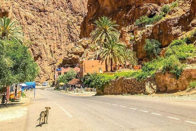 5 Days Over Berber Villages - Scenic Treks and Hikes