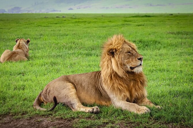 5 Days Private Camping Safari in Tanzania - Safari Location and Vehicle Details