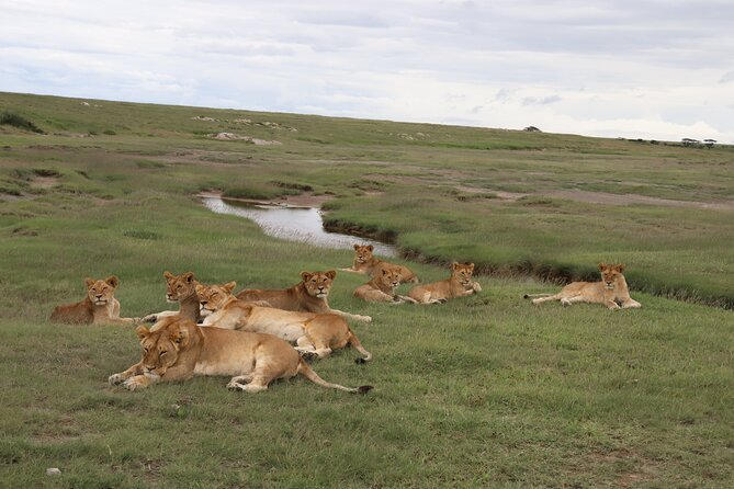 5 Days Private Camping Safari in Tanzania - Frequently Asked Questions
