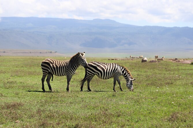 5 Days Private Camping Safari in Tanzania - The Sum Up
