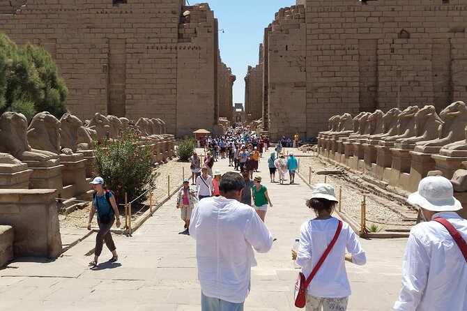 5 Days Private Guided Nile River Cruise Tour From Luxor to Aswan - Highlights and Inclusions