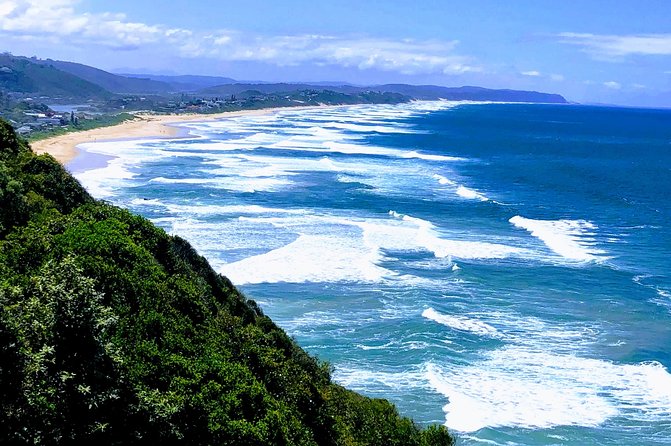 5 Days Private Guided Tour in Garden Route - Day 2: Discovering Tsitsikamma National Park