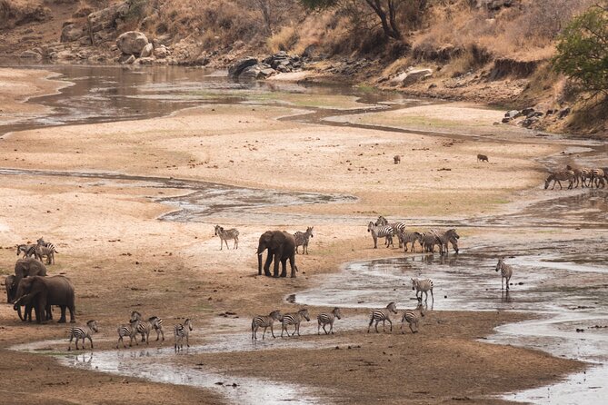 5-Days Private Midrange Safari: Serengeti, Ngorongoro & Manyara - Safari Activities and Highlights