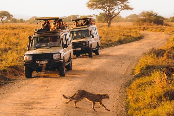 5-Days Private Midrange Safari: Serengeti, Ngorongoro & Manyara - Booking Information and Requirements