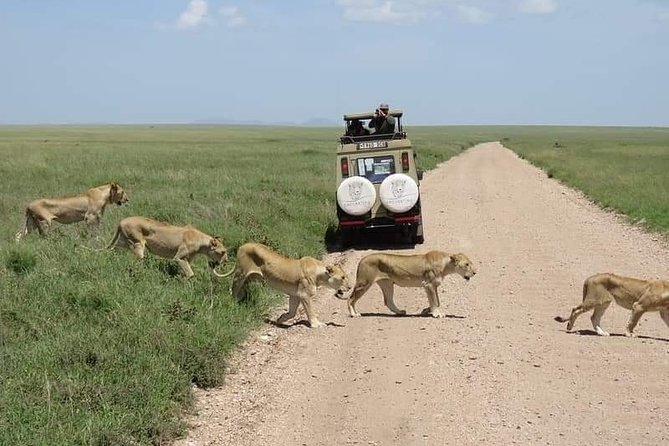 5-Days Private Midrange Safari: Serengeti, Ngorongoro & Manyara - Health and Safety Considerations