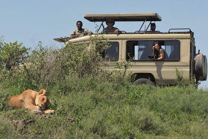 5-Days Private Midrange Safari: Serengeti, Ngorongoro & Manyara - Customer Reviews and Testimonials