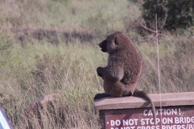 5-Days Private Tanzania Safari Tour - Frequently Asked Questions