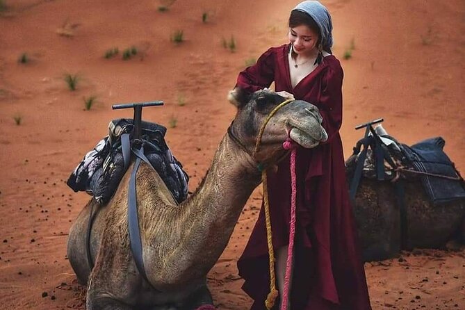 5 Days Private Tour From Marrakech to Fes via Desert - Meeting Points and Pickup Details