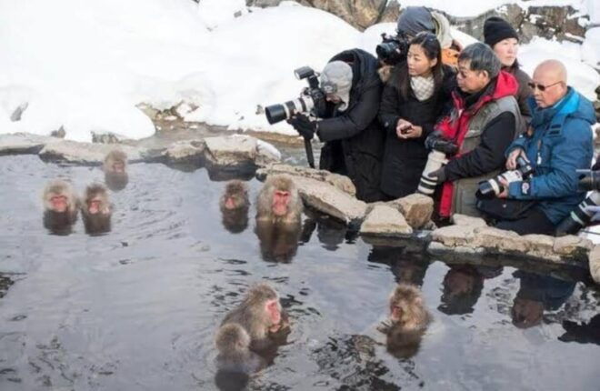 5-Days Private Tour Tokyo, Mt Fuji, Nikko, Hakone and Nagano - Day 4: Journey to Nagano