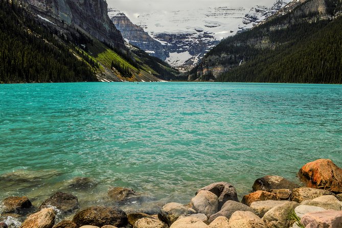 5 Days Rockies Camping & Wildlife Photography - Accommodation and Meals