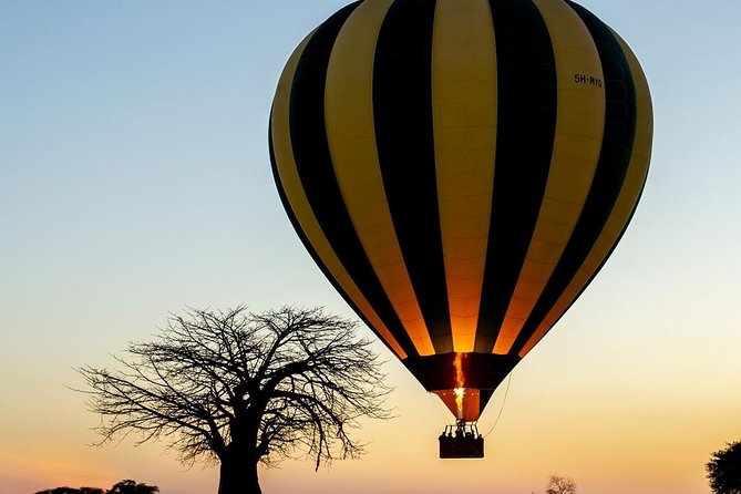 5-Days Ruaha Balloon Experience and Kitulo Plateau National Park - Good To Know