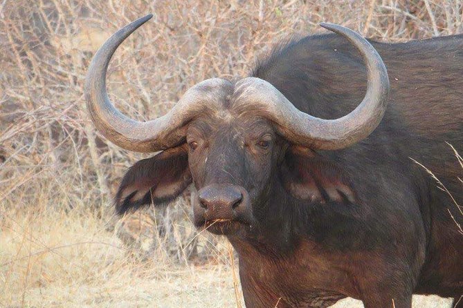 5-Days Ruaha Balloon Experience and Kitulo Plateau National Park - Expectations and Requirements for Participants