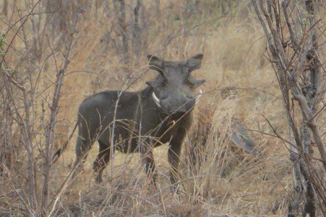 5-Days Ruaha Balloon Experience and Kitulo Plateau National Park - Cancellation Policy and Guidelines