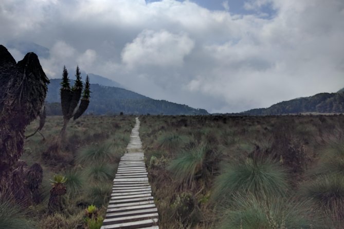 5 Days Rwenzori Hiking Uganda - Pricing and Guarantee