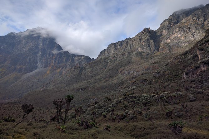 5 Days Rwenzori Hiking Uganda - Booking and Confirmation