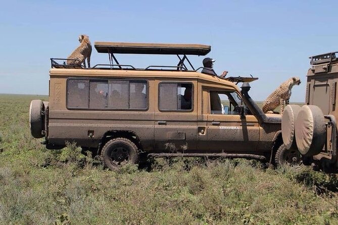 5 Days Safari in Tarangire, Serengeti & Ngorongoro - Professional Guides and Staff