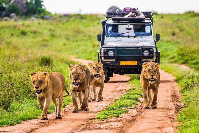 5 Days Safari Tarangire, Serengeti, and Ngorongoro Crater - Serengeti Wildlife Adventure