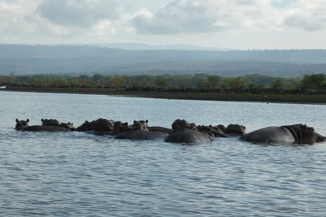 5 Days Safari to Amboseli N/P, Lake Naivasha, Maasai Mara N/R. - Accommodation and Meals