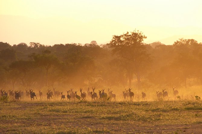 5 Days Safari to Selous & Mikumi - Frequently Asked Questions