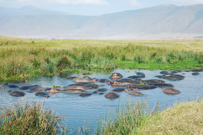 5 Days Safari to Serengeti, Ngorongoro, Tarangire From Arusha - Inclusions and Exclusions