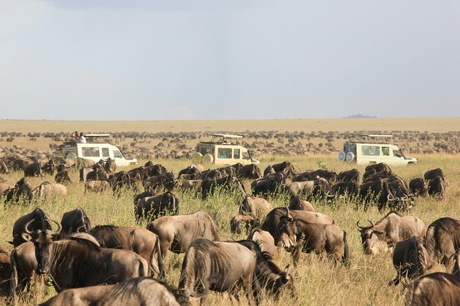 5 Days Serengeti, Ngorongoro, Manyara and Tarangire Group Safari - The Sum Up
