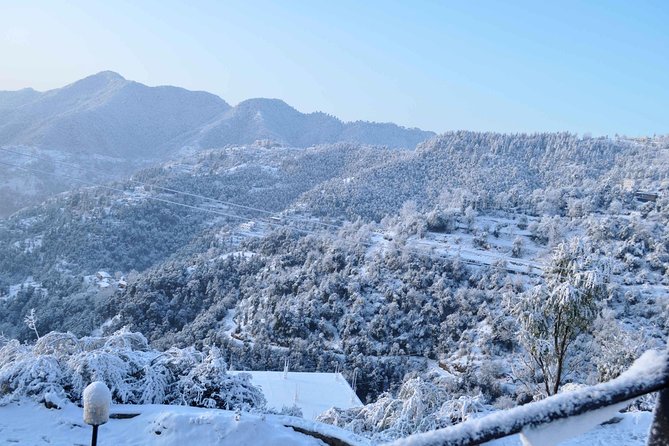 5 Days Shimla Manali Tour - Accommodation Details