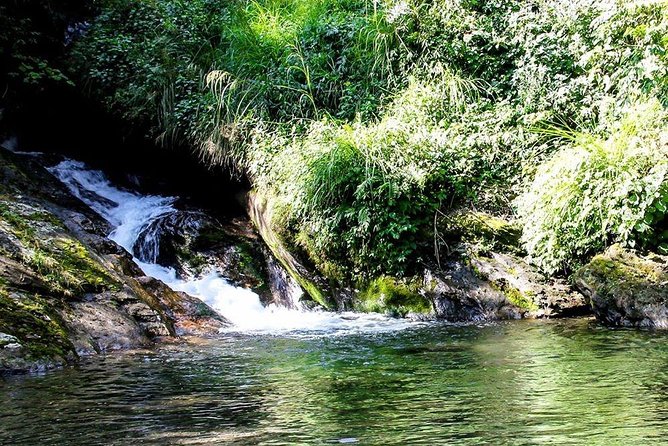 5 Days Sikles Trek From Pokhara - Meeting Point and Pickup Service