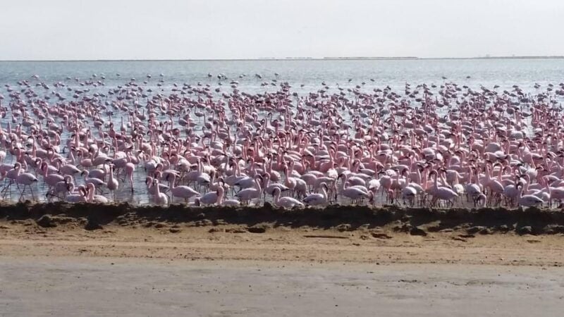 5 Days Sossusvlei and Swakopmund Tour - Shared Shuttle - Good To Know