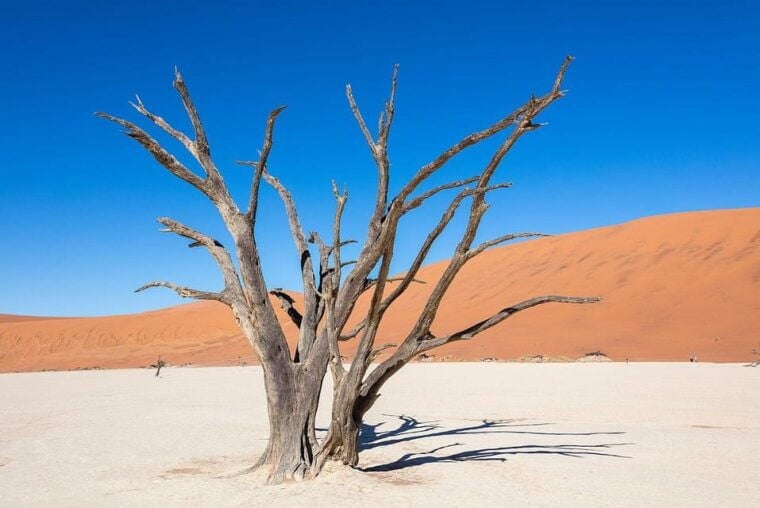 5 Days Sossusvlei and Swakopmund Tour - Shared Shuttle - Who Is This Tour Best For?