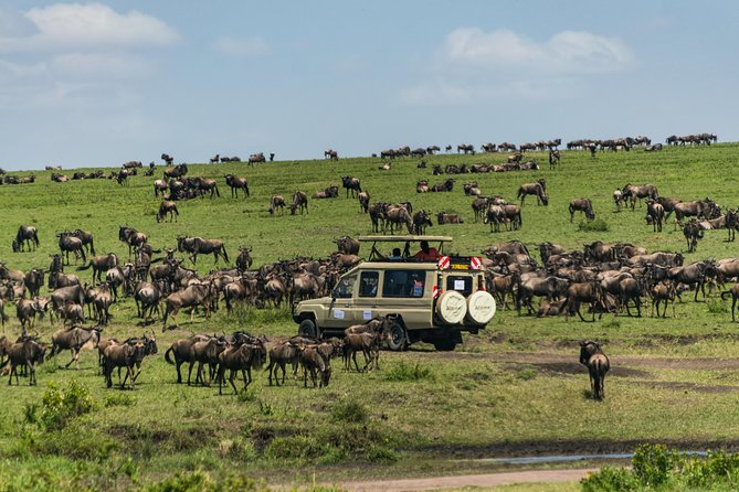 5 Days Special Offer, 1NT Nairobi,1nt Nakuru, and 2NTS Maasai Mara - What to Expect During the Trip