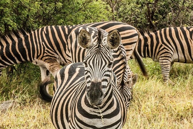 5 Days Tanzania Budget Camping Safari - Accommodations and Facilities