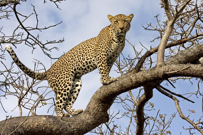 5 Days Tanzania Budget Camping Safari From Arusha - Safari Itinerary Overview