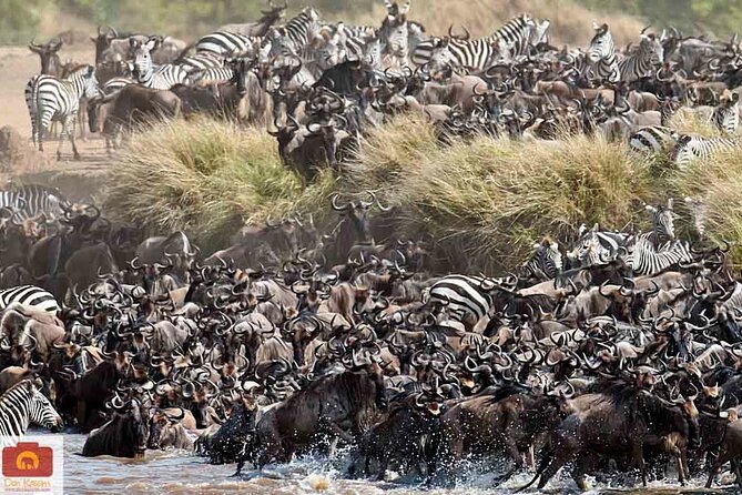 5-Days Tanzania Camping Safari Tour - Meals and Beverages Included