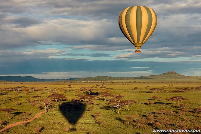 5-Days Tanzania Camping Safari Tour - Group Size and Interaction