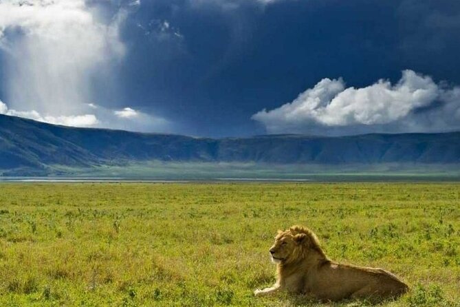 5 Days Tanzania Safari With Serengeti - Frequently Asked Questions