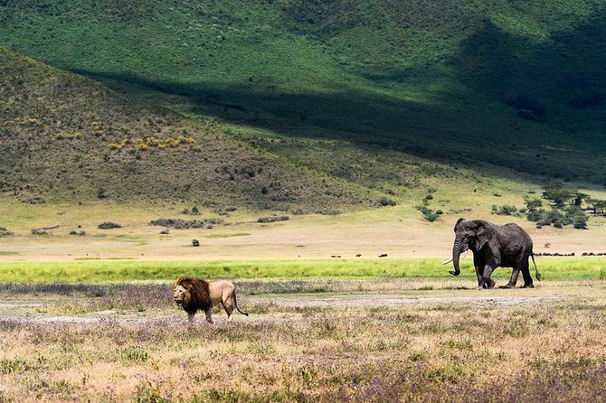 5 Days Tanzania Wilderness Camping Tour. - Itinerary Highlights