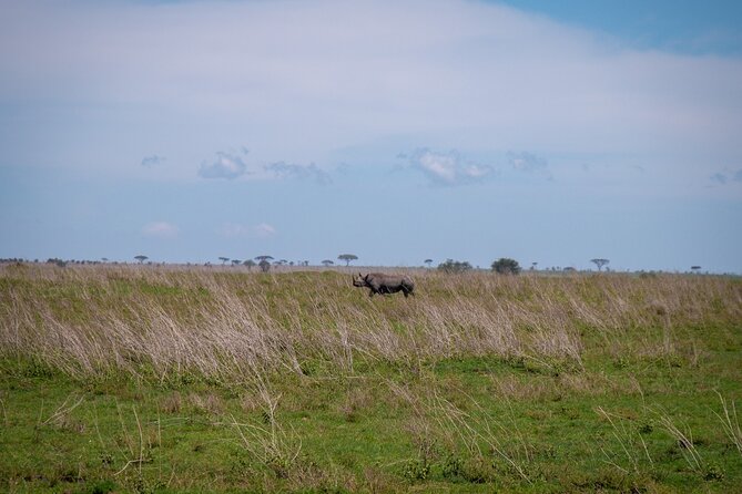 5 Days Tanzanias Wildlife Joint Safari. - Inclusions and Exclusions