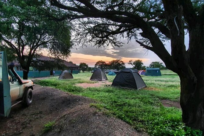 5 Days Tanzanias Wildlife Joint Safari. - Important Reminders