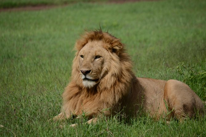 5 Days Tarangire ,Serengeti.Ngorongoro and Lake Manyara - Good To Know