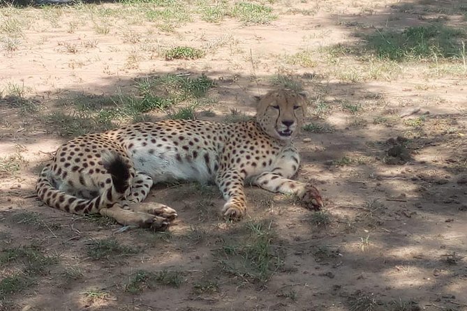 5 Days Thrilling Safari in Maasai Mara Lake Nakuru, Lake Naivasha , Kenya - Thrills at Hells Gate National Park