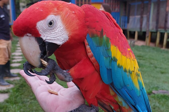 5 DAYS TOUR, Culture and Nature of the Amazon...Non-Mass & Sustainable TOUR. - Itinerary