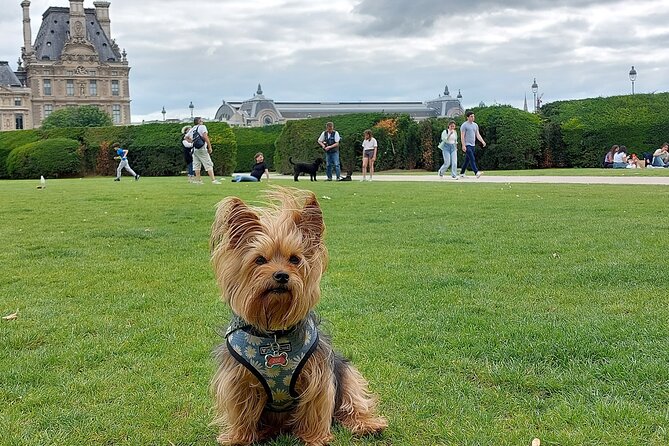 5 Days Tour in Paris With Expert Francophile - Itinerary