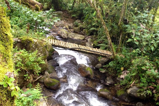 5 Days Traditional Coffee Zone - Stay at Authentic Traditional Finca