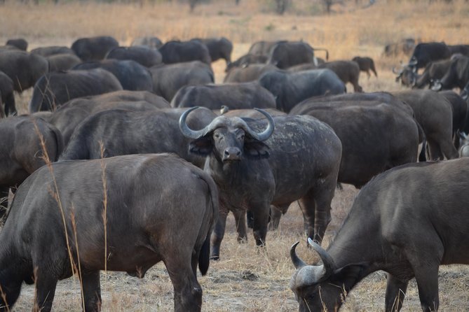 5 Days Travelling Southern Tanzania - Day 2: Exploring Udzungwa Mountains National Park