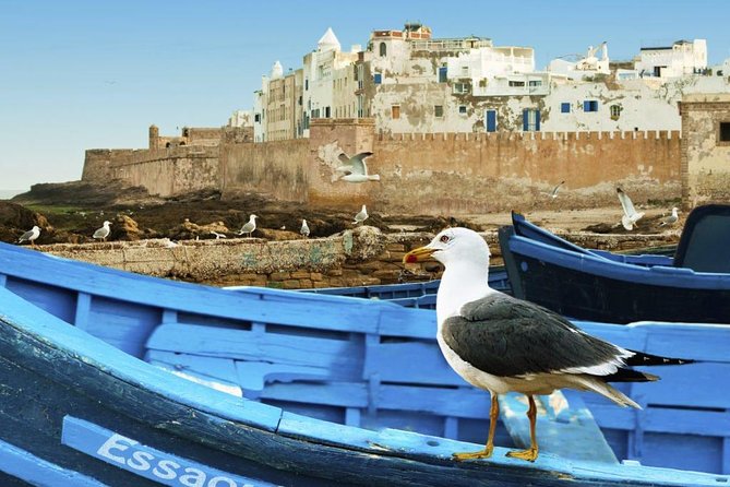 5 Days Trip From FEZ to ESSAOUIRA Spending a Night in MERZOUGA and TODRA GORGES - Cancellation Policy and Guarantee